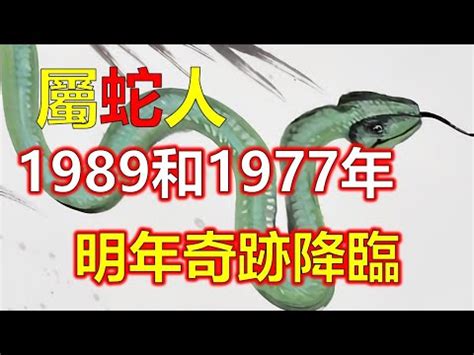 土蛇 1989|1989年五行属什么？1989年出生是什么命？